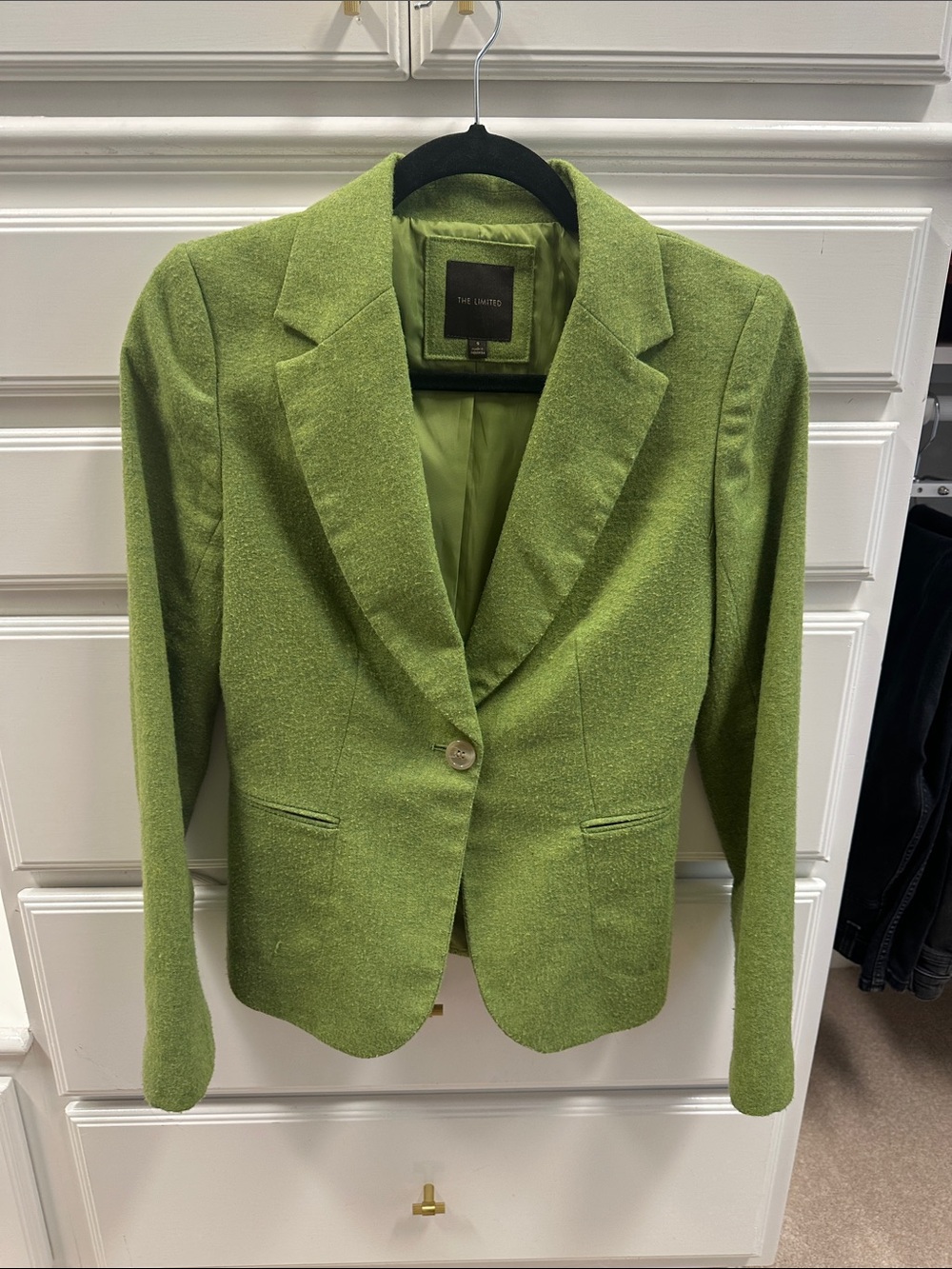 The Limited Green Single-Button Blazer